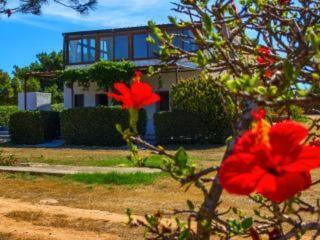 Casa Relax Acqua Marina Apartment Favignana Bagian luar foto