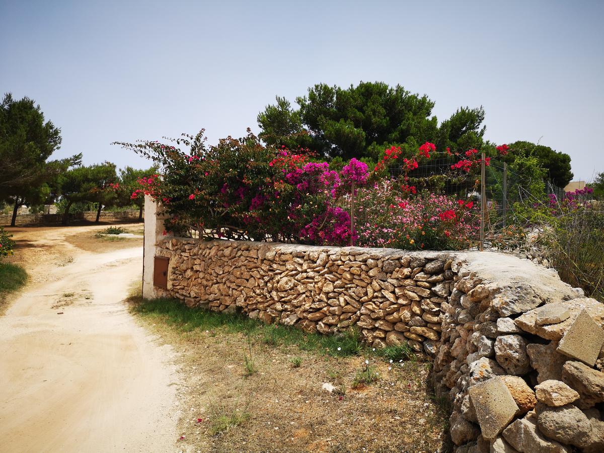 Casa Relax Acqua Marina Apartment Favignana Bagian luar foto